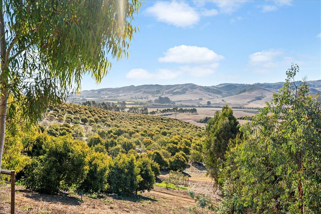 3515 Turri Rd, San Luis Obispo, CA 93405